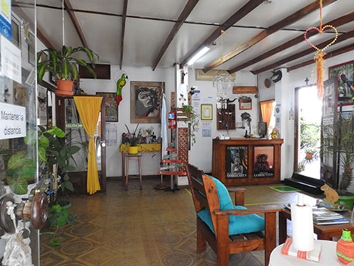Recepción y sala de estar con plantas, cuadros y artesanías
